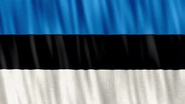 Bandera Nacional Estonia Inconsútil Animación Bucle Primer Plano Saludando Alta — Vídeo de stock