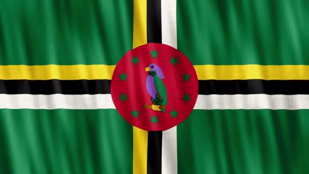 Государственный Флаг Доминики Бесшовный Цикл Анимации Крупным Планом Машет Высококачественный — стоковое видео