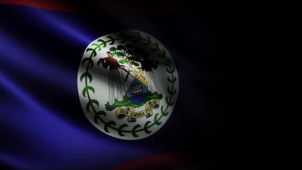 Belize Schwenkt Flagge Nahtlose Loop Animation Winkt Hochwertiges Uhd Fps — Stockvideo