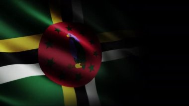 Dominica Sallanan Bayrak. Kusursuz döngü animasyonu yakın plan el sallıyor. Yüksek kalite 4k uhd, 60 fps görüntü