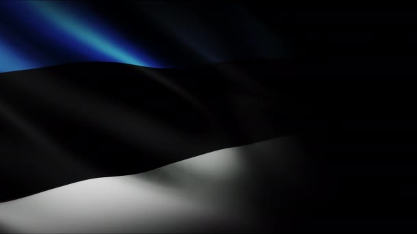 Bandiera Sventolante Estonia Animazione Loop Senza Soluzione Continuità Primo Piano — Video Stock
