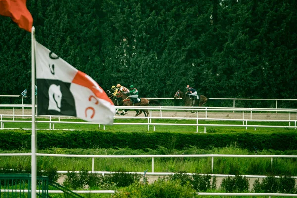Buca Izmir トルコ 2023年9月 Izmir Sinrier Hipodromu イズミル シリニエ症候群 競馬場で馬のレース中に — ストック写真