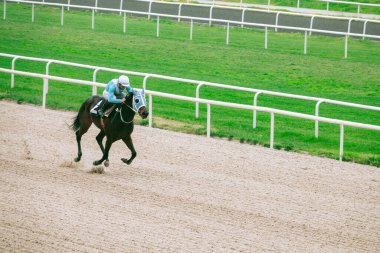 buca, izmir, Türkiye - 04 09 2023: (İzmir sirinyer hipodromu) İzmir Sirinyer hipodromu. Atlar hipodromda yarışırken.