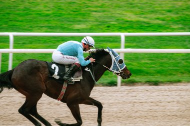 buca, izmir, Türkiye - 04 09 2023: (İzmir sirinyer hipodromu) İzmir Sirinyer hipodromu. Atlar hipodromda yarışırken.
