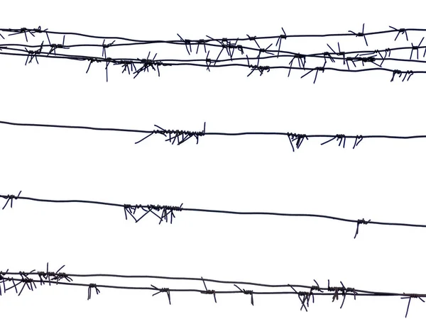 Barbed wire on fence isolated on a white background