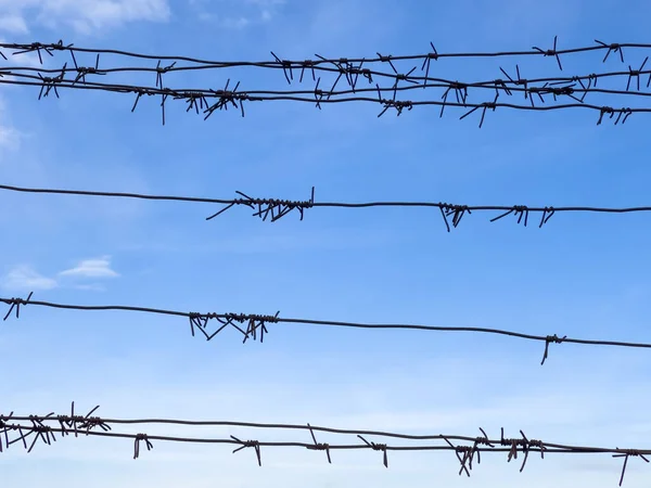 Barbed wire. Barbed wire on fence with blue sky on background