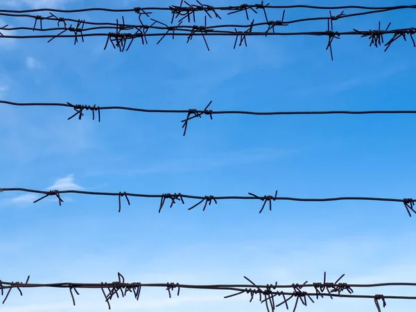 Barbed wire. Barbed wire on fence with blue sky on background