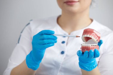 Doctor orthodontist showing model of human jaw with wire braces and aligners explaining difference