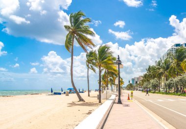 Seafront beach promenade with palm trees