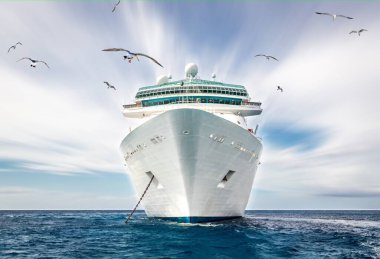 Cruise ship in the blue ocean with seagull and blured sky