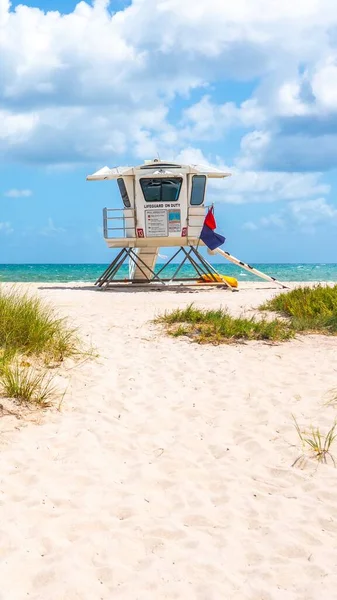 Seafront beach promenade with palm trees on sunny day in Fort Lauderdale