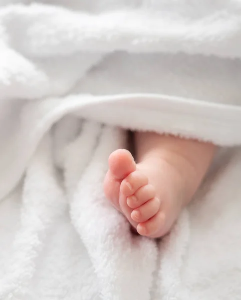 An intimate close-up of a newborn babys delicate foot, gently emerging from underneath a pristine white towel