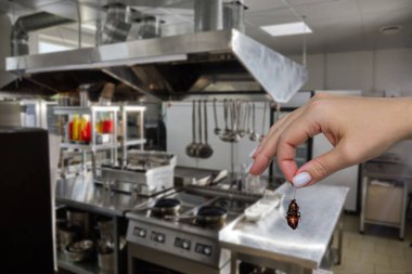 Ölü bir hamamböceğini, modern restoranın bulanık arka planında tutan kadın.