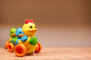 Canlı plastik çekiş oyuncak ördeği ile birlikte bir rafta duran tekerlek üzerindeki iki küçük ördek. Küçükler için oyuncu oyuncaklar ve neşe kavramı, etkileşimli oyunu geliştirmek