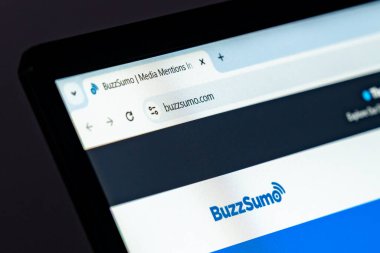 New York, ABD - 17 Aralık 2024: BuzzSumo web sitesi logolu bilgisayar ekranında görüntülendi. İçerik keşfi ve sosyal medya analizi için çevrimiçi platform