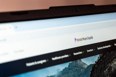 New York, ABD - 20 Ocak 2025: Mor tuğlalar web sitesi bir ekranda gösterildi