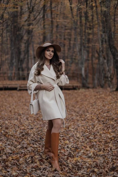 Fashion Outdoor Photo Beautiful Woman Dark Hair Elegant Coat Hat — Stock Photo, Image