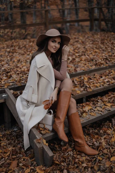 Fashion Outdoor Photo Beautiful Woman Dark Hair Elegant Coat Hat — Stock Photo, Image
