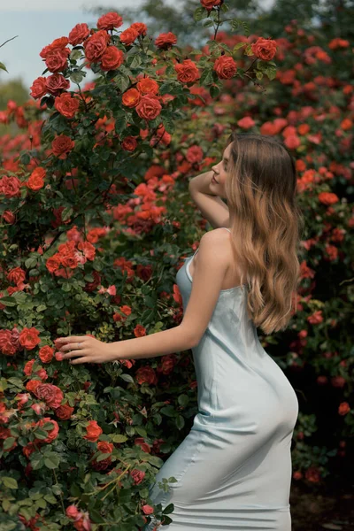 时尚的户外照片 美丽的女人 金发碧眼 穿着雅致的衣服 在灌木丛边摆姿势 玫瑰绽放 — 图库照片