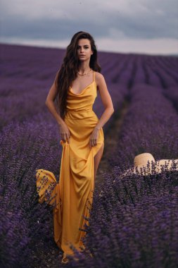 Provence 'deki çiçek açan lavanta tarlasında poz veren koyu renk saçlı güzel bir kadının moda fotoğrafı.