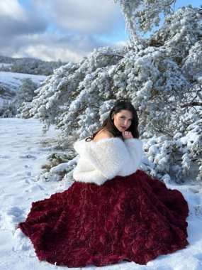 Güzel, siyah saçlı, lüks bir gece elbisesi ve beyaz kürklü, karlı dağlarda poz veren aksesuarlı güzel bir kadının Noel fotoğrafı. 
