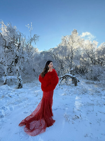 Мода Рождественская фотография красивой женщины с темными волосами в роскошном вечернем платье с аксессуарами позируя в снежных горах 