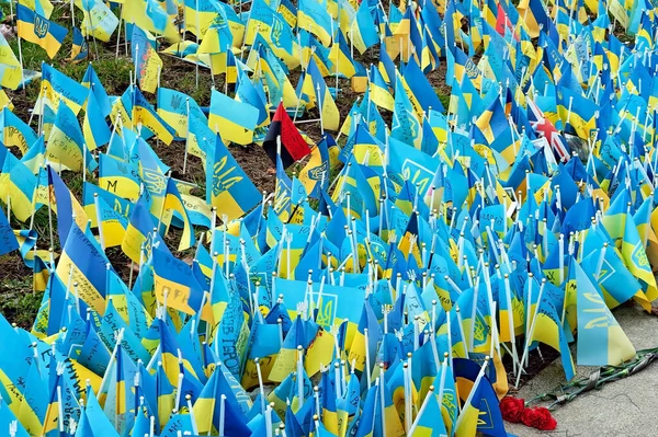 Ukraińskie Flagi Nazwiskami Zabitych Bohaterów Żołnierzy Ukraińskiej Armii Majdanie Kijowie — Zdjęcie stockowe