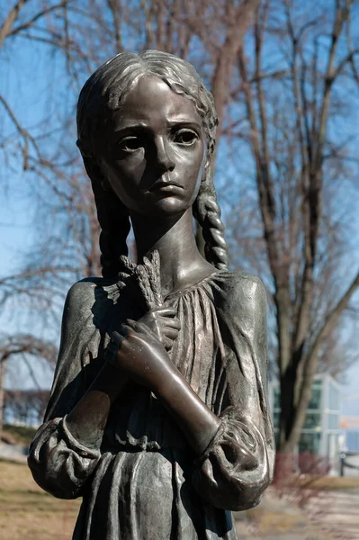 Blízko Památníku Obětí Holodomoru Kyjevě Ukrajině — Stock fotografie