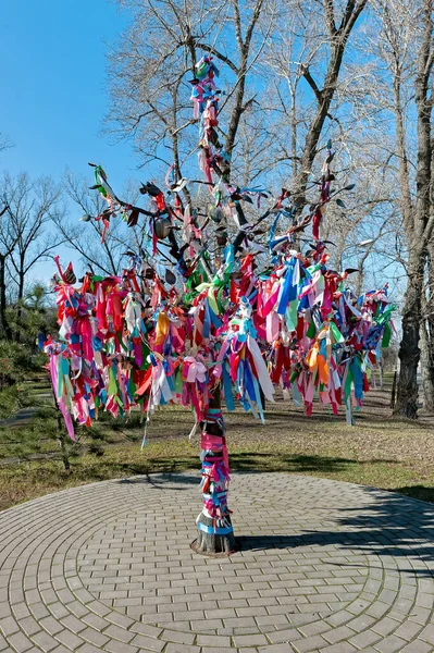 乌克兰基辅有彩带的许愿树 — 图库照片