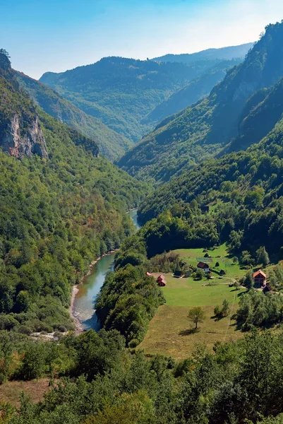 Utsikt Tara River Canyon Montenegro – stockfoto