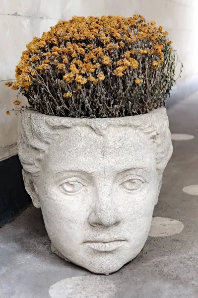 Ornate Classic Flower Pot Dry Flowers — Stock Photo, Image