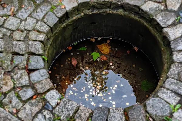 A small well with coins in a garden