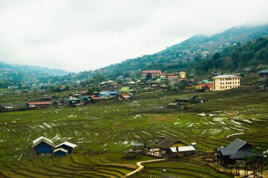 Sapa 'da pirinç terası, Kuzey Vietnam