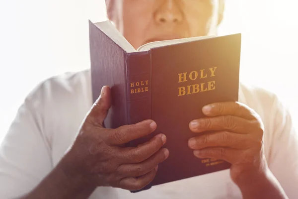 Handen Vrouw Met Bijbel Bidden Christelijk Concept — Stockfoto