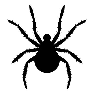 Beyaz arkaplanda siyah örümcek simgesi izole edildi