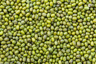 Vigna radiata 'nın ham tohumları, Mung fasulyeleri.