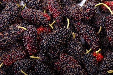 Olgun dut arka planı. sağlıklı meyve