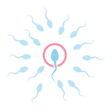 Erkek spermi dişi yumurta ikonunu döller.