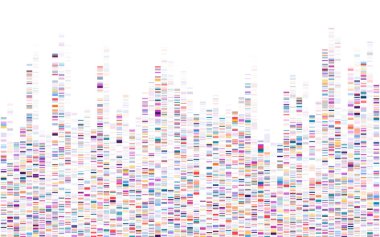 DNA testi bilgileri var. Genom dizisi haritası. 