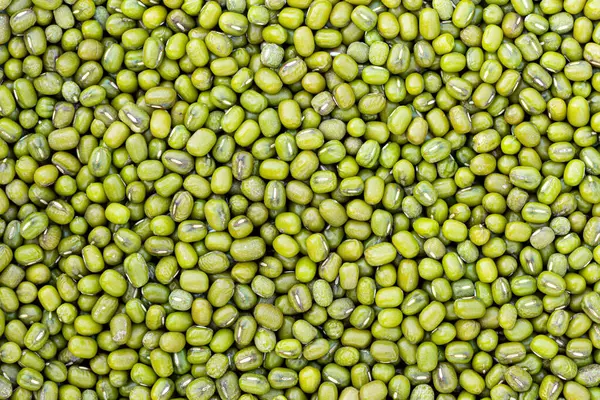 Vigna radiata 'nın ham tohumları, Mung fasulyeleri.