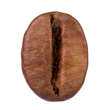 Kahve çekirdeği beyaz arka planda izole edilmiş.