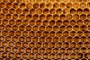 Petek arka plan dokusu