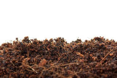 Beyaz arka planda izole edilmiş, hindistan cevizi kabuğu dokusuyla besin zengini organik toprağın yakın çekimi. Bahçıvanlık, ekme ve sürdürülebilir tarım için ideal, doğal büyüme ortamı ve çevre dostu tarım uygulamalarını vurgulamak.