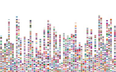 DNA testi bilgileri var. Genom dizisi haritası. 