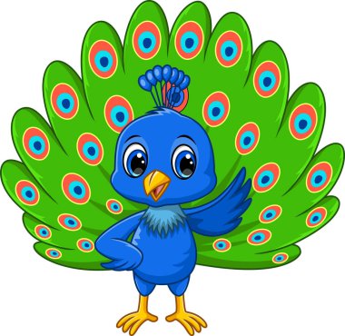 Beyaz arkaplanda güzel tavus kuşu karikatürü