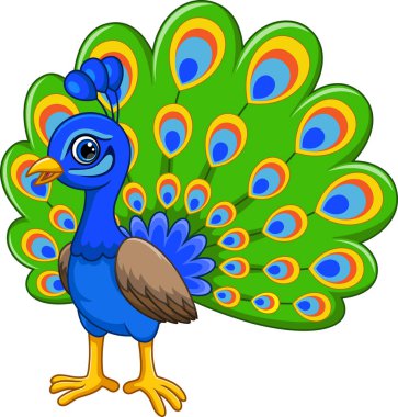 Beyaz arkaplanda güzel tavus kuşu karikatürü