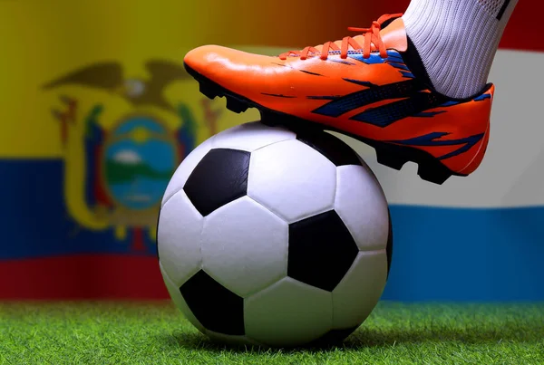 Labdarúgó Kupa Verseny Nemzeti Ecuador Nemzeti Hollandia — Stock Fotó