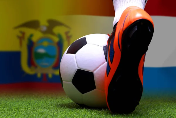 Football Cup Competition National Ecuador National Netherlands — Stock Photo, Image