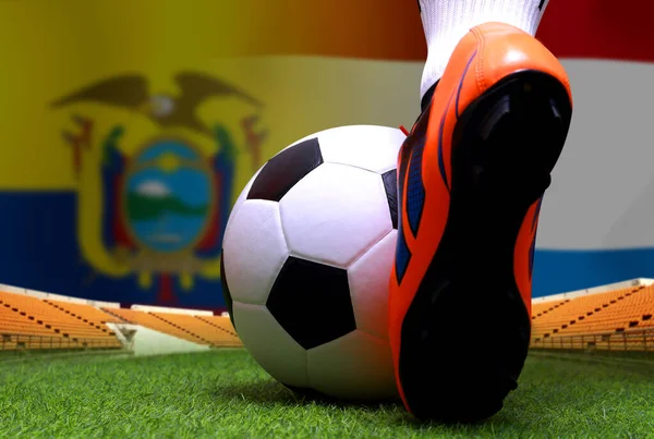 Футбольний Кубок Нідерландів Між Збірними Еквадору Нідерландів — стокове фото