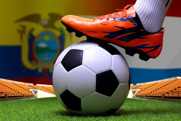 Copa Fútbol Competencia Entre Ecuador Nacional Los Países Bajos Nacionales —  Fotos de Stock